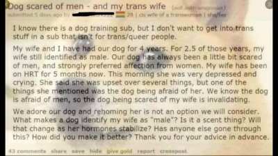 Chad dog?