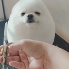 What a cute egg