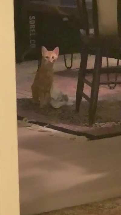 Realizing I’m spying on her
