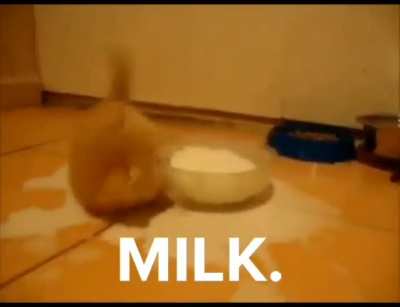 Milk