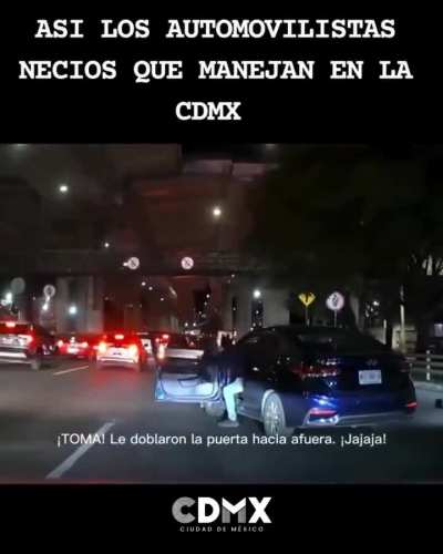 En q nivel de simies se ponen raza?