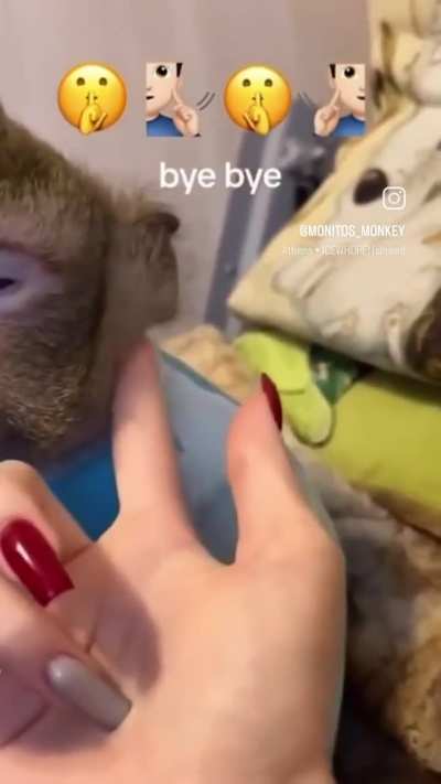 🤫