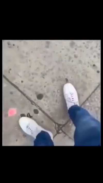 Nice butterfly