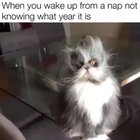 Me this morning 🔥😂