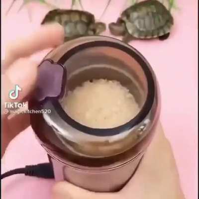 🐢Tortuga🐢