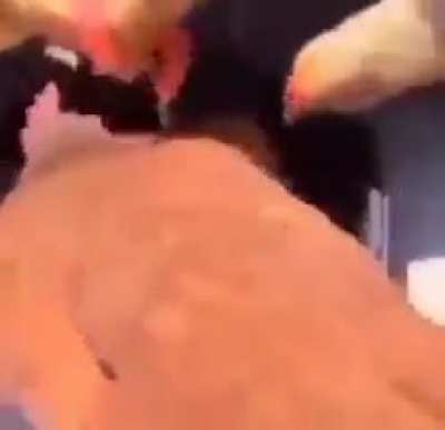 shitposting - Video #4539