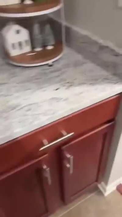 to make pizza rolls