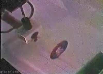 This is what happens when two perfect smoke rings collide