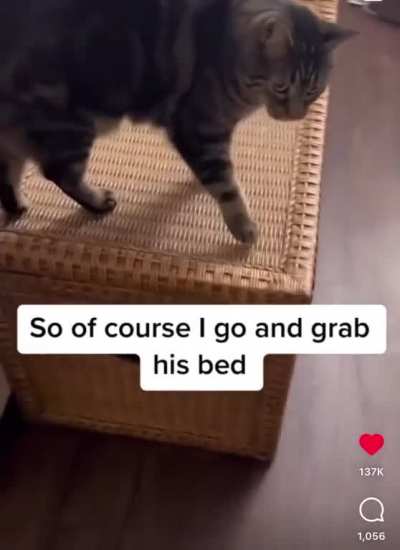 He has his human well trained