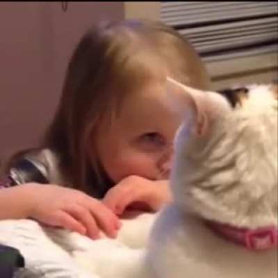 Kitty is not impressed