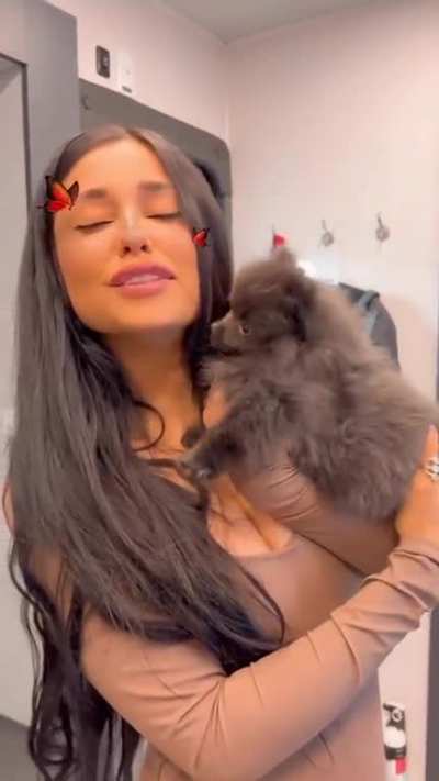little dog