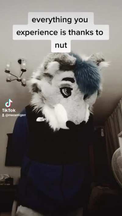 nut_irl