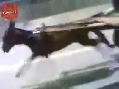 dOnKEy