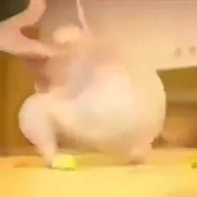 The fuckll nuckle