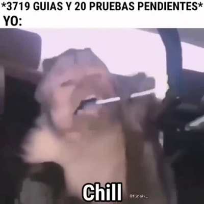 Miki chil