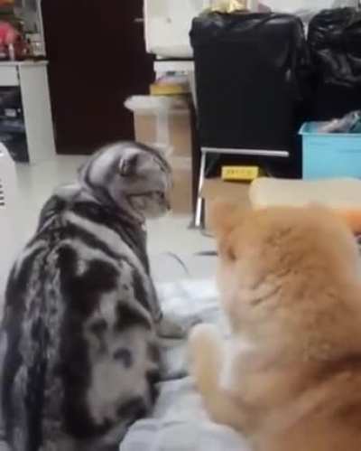 Try me one more time