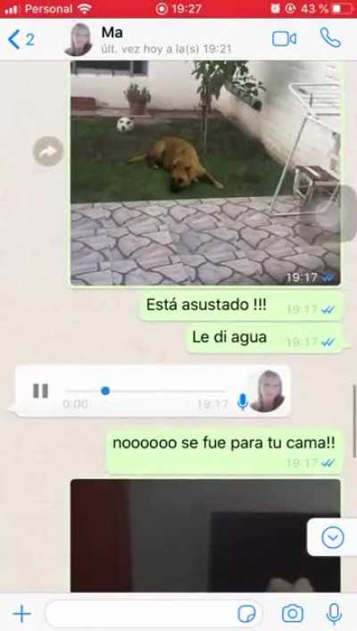 Lucas😡