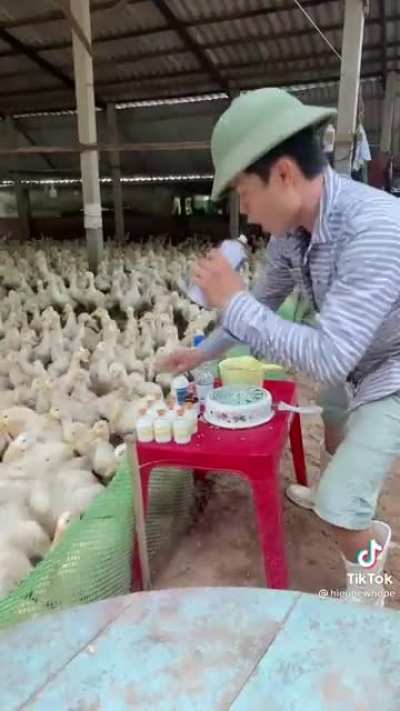 Chicks love this DJ