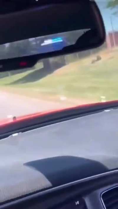 why would you film yourself doing something like this