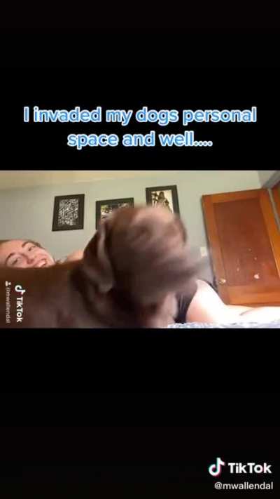 He said Nope nope nope