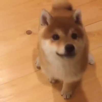 My Mom Bought Dogecoin and then... Bought Doge