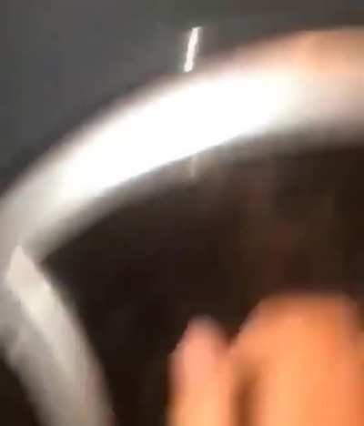 *bonk*
