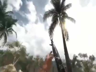 gun