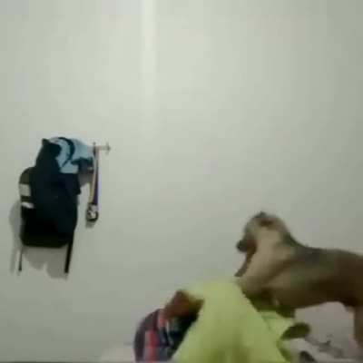 a encarada d 5 segundos kkkk