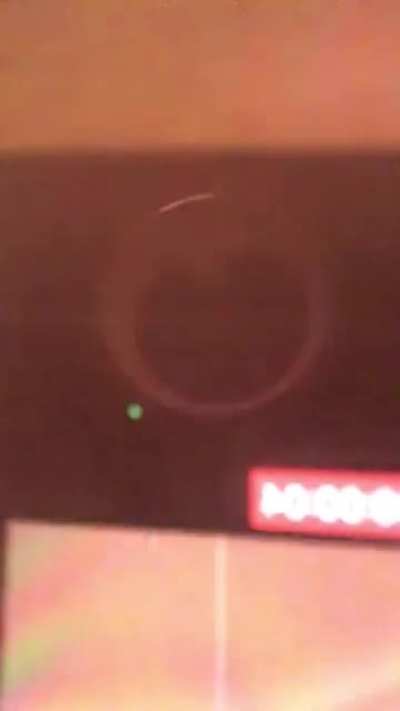 Checking if our new friend was still under the cup...