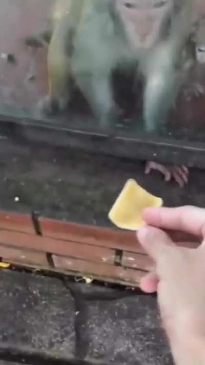 carinho de irmaos