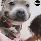 Giving you a dose of genuine happiness today