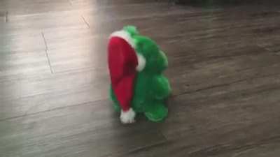 He used to croak the song “Jingle Bells”. Now he just screams and spins in circles. Honestly, same.