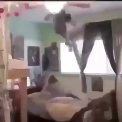 Bonk