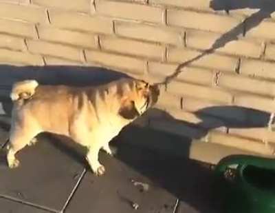 To drink water