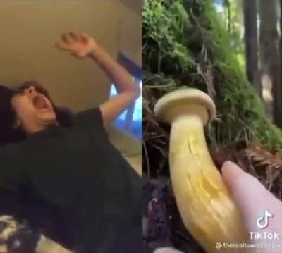 Very big Shroom