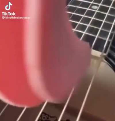 talent