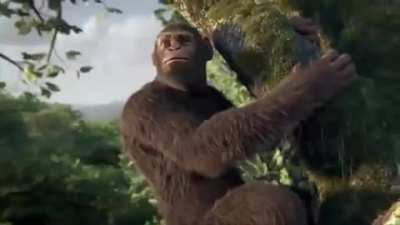monke dance