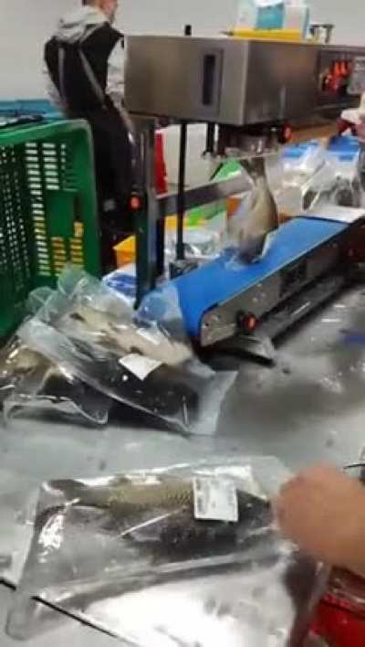 The way fish is sold/packaged in some parts of the world.