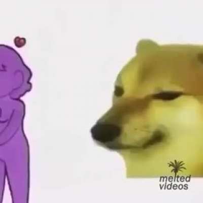Concordo assiste até o final