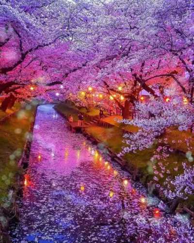 River aesthetic