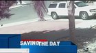 Saving the day