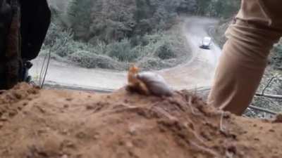 Slow boi watching fast boi