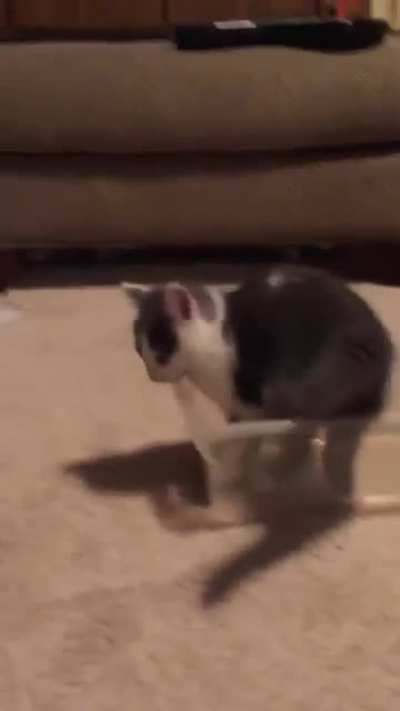 I’ve never seen him move so fast