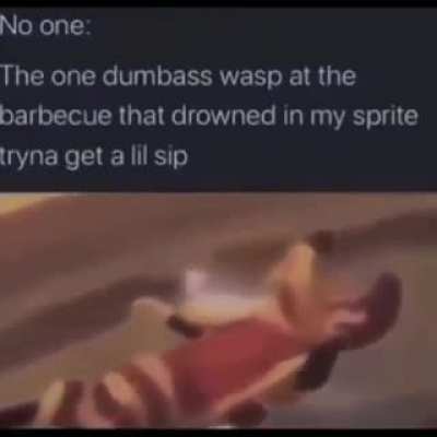 rip lil man