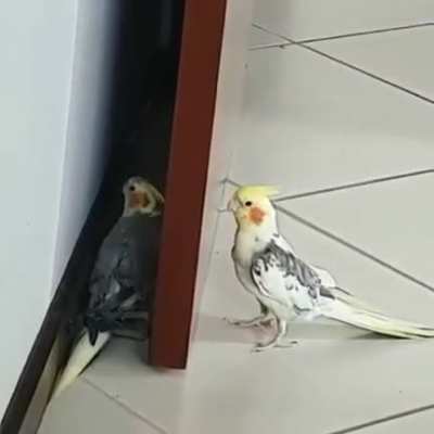 Double tap