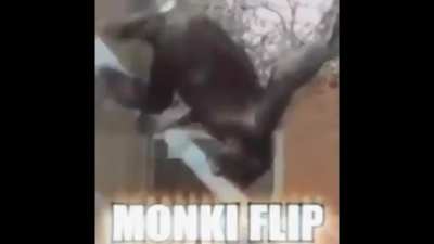 The Spy does a flip