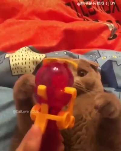 So early from catnip..