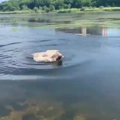 Тряпка уплыв<wbr>ает