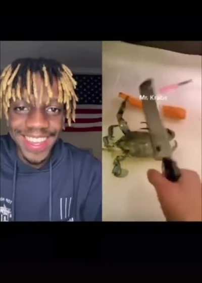 awww mr krabs