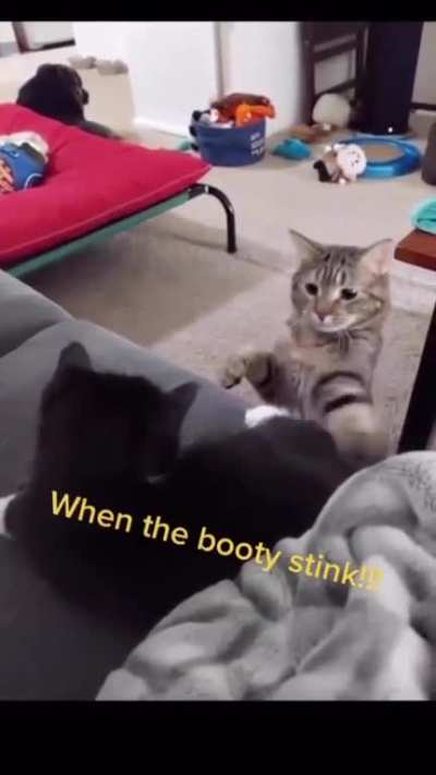 Odeur de booty